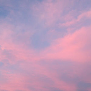 Meet your Posher, Brendan